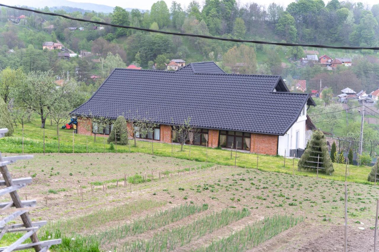 Vila Club Dioda Cicanesti 외부 사진